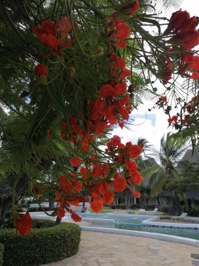 Coral Key Villa Malindi Eksteriør bilde